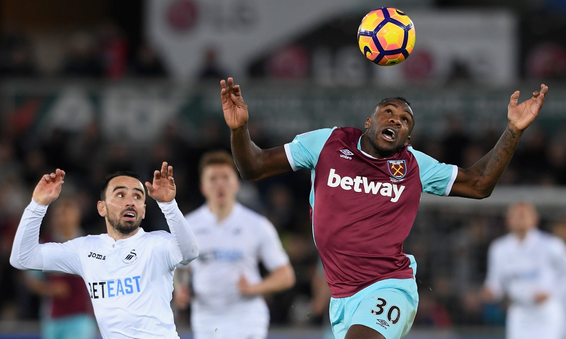 场上展示的 场上展示的